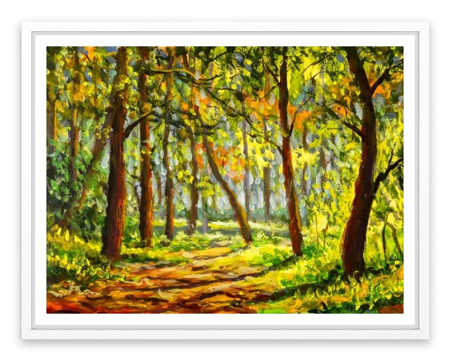 In the sunny forest