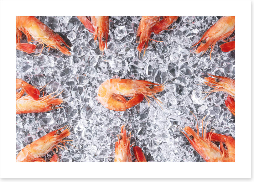 Prawn in the middle