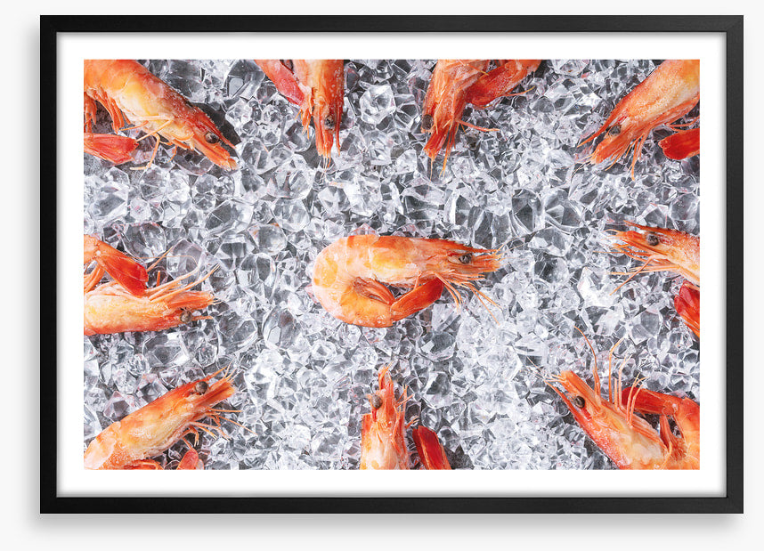 Prawn in the middle