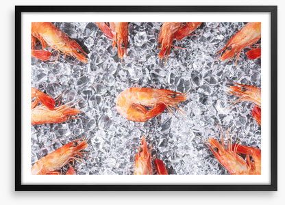 Prawn in the middle