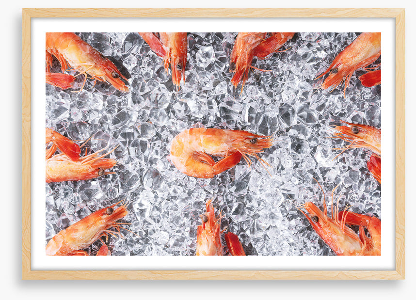 Prawn in the middle
