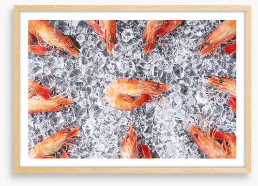 Prawn in the middle