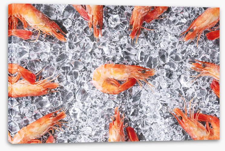 Prawn in the middle