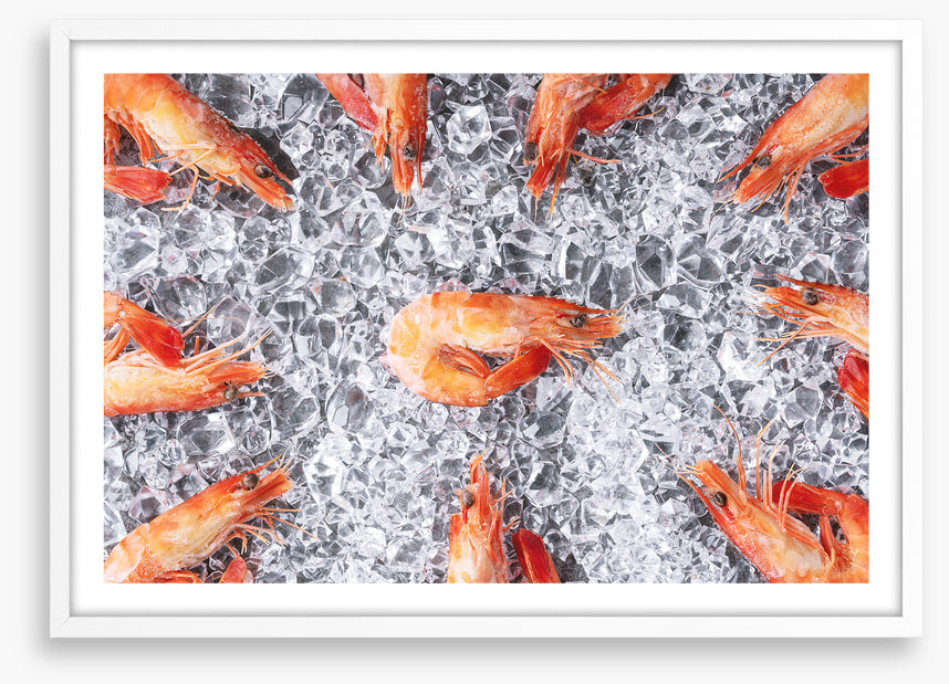 Prawn in the middle