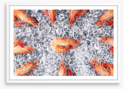 Prawn in the middle