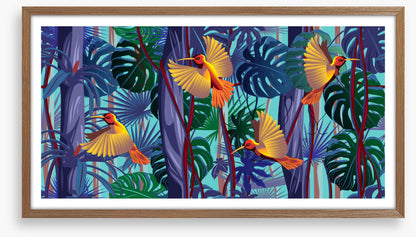 Hummingbirds on the vine