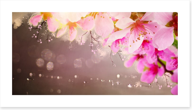 Spring shimmer