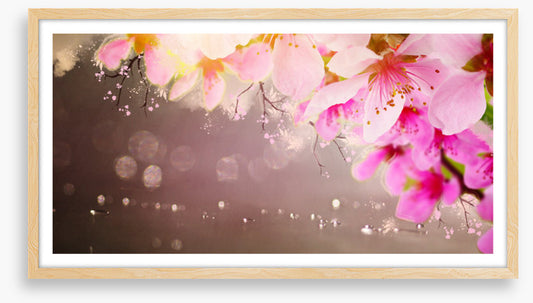 Spring shimmer