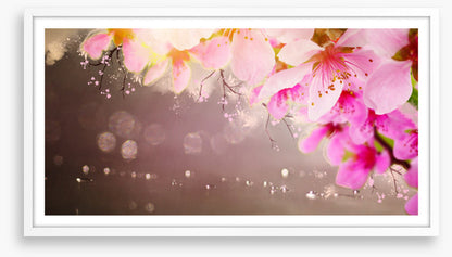 Spring shimmer