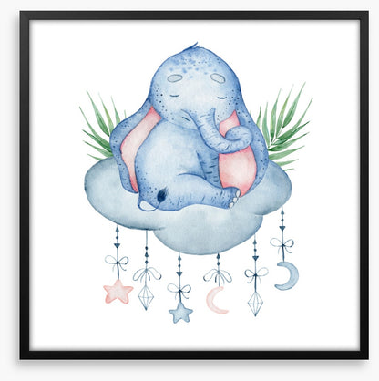Elephants