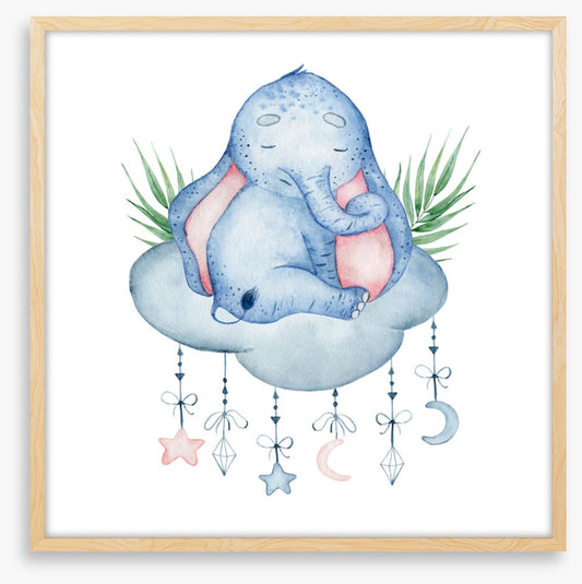 Elephants