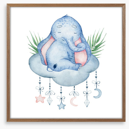 Elephants