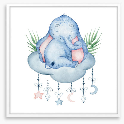 Elephants