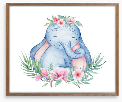 Elephants