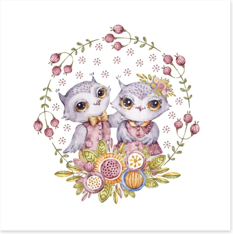 Owls