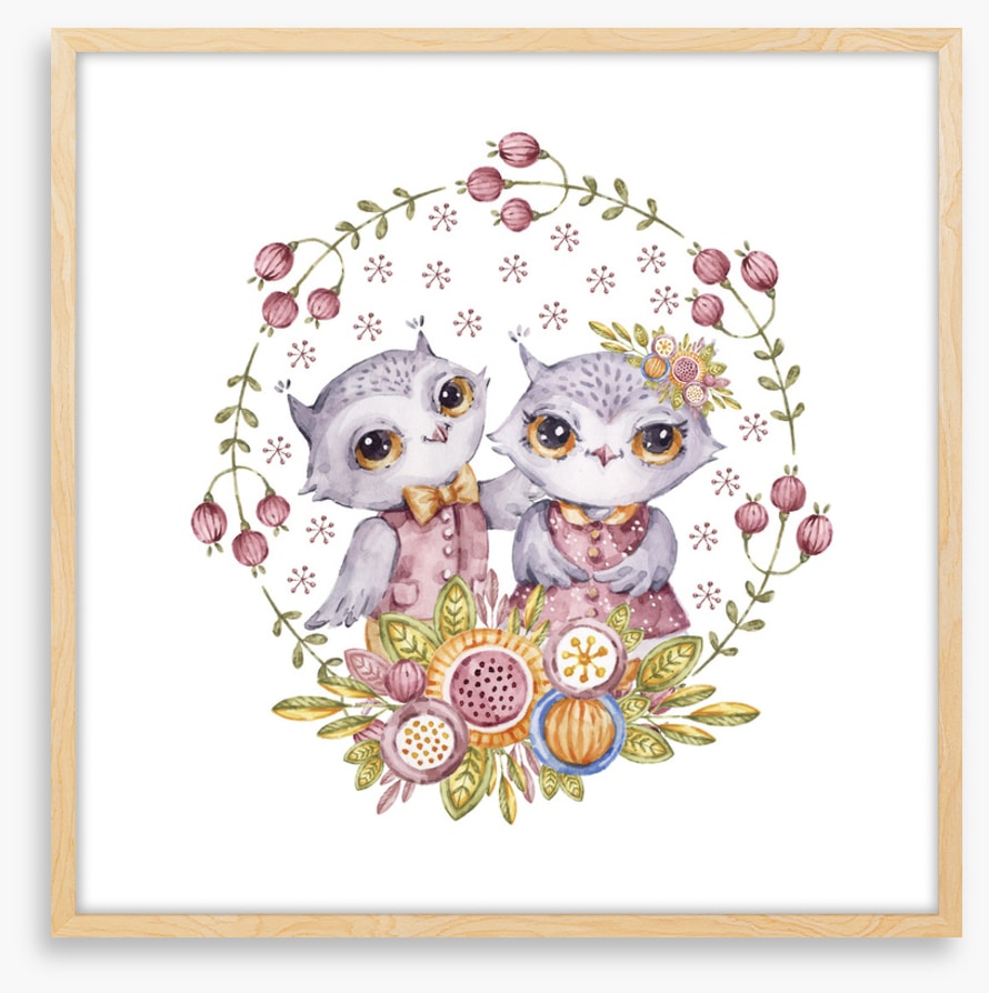 Owls