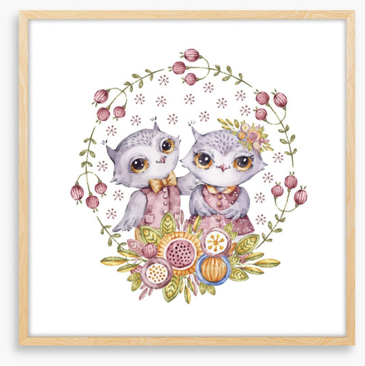 Owls