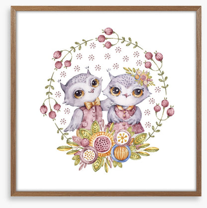 Owls