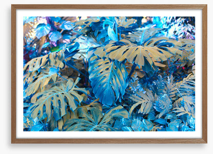 Monstera blues