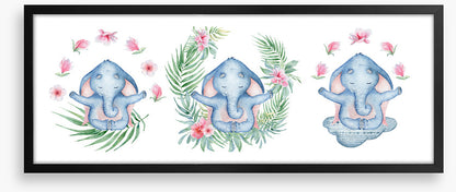 Elephants