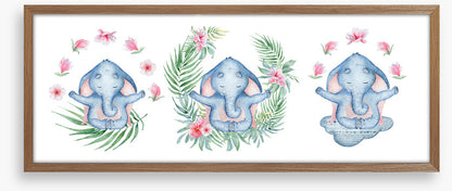 Elephants