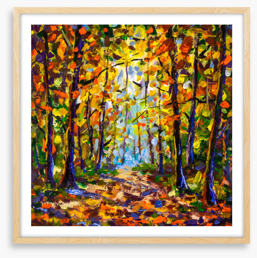 Autumn leaf tunnel