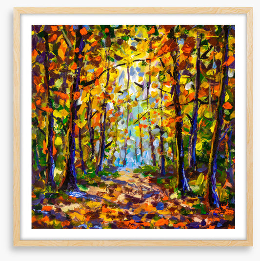 Autumn leaf tunnel