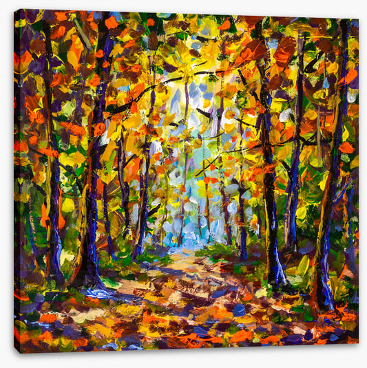 Autumn leaf tunnel