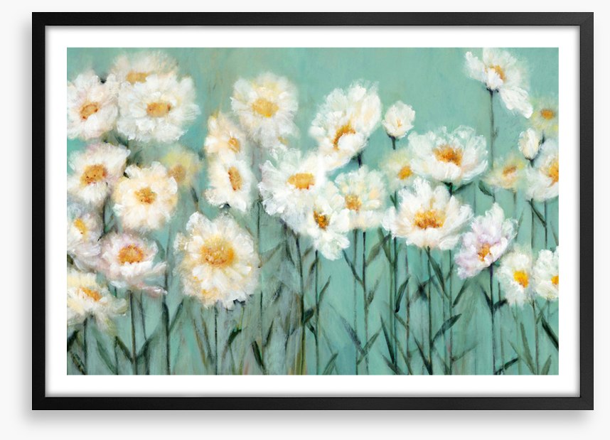 Pushing up daisies