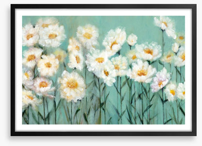 Pushing up daisies