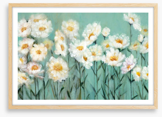 Pushing up daisies