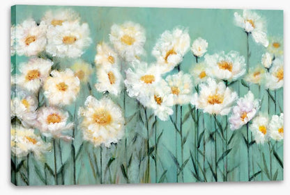 Pushing up daisies