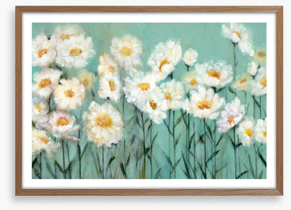 Pushing up daisies