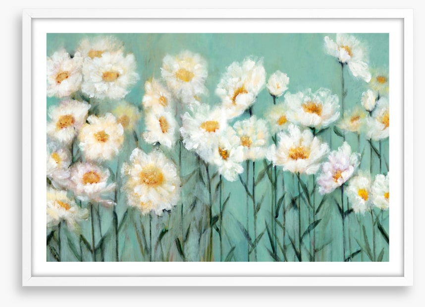 Pushing up daisies