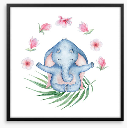Elephants