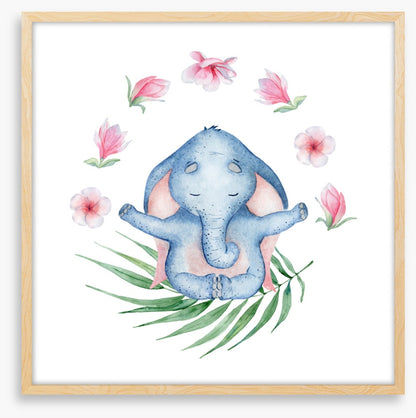 Elephants