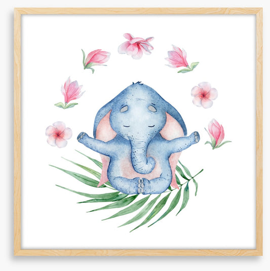 Elephants