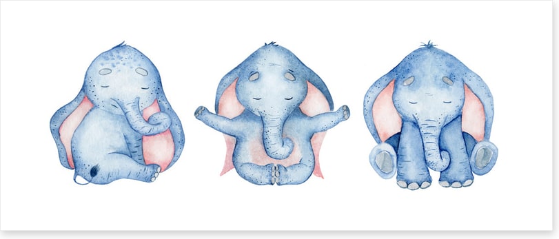 Elephants