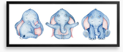 Elephants