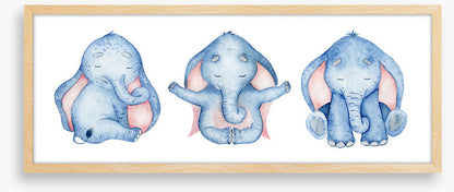 Elephants