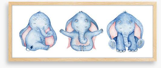 Elephants