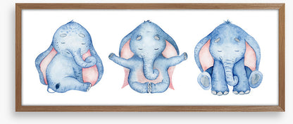 Elephants