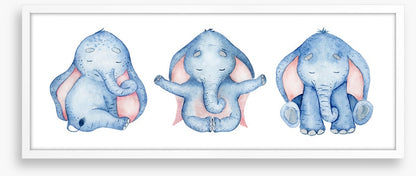 Elephants