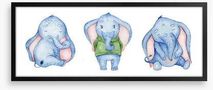 Elephants