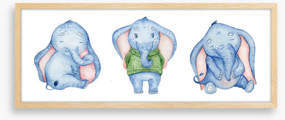 Elephants