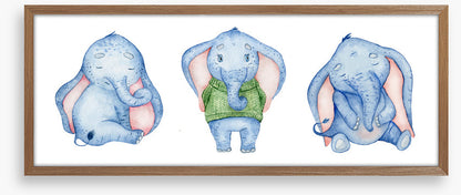 Elephants