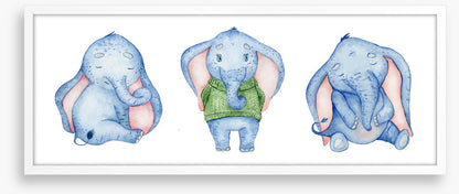 Elephants