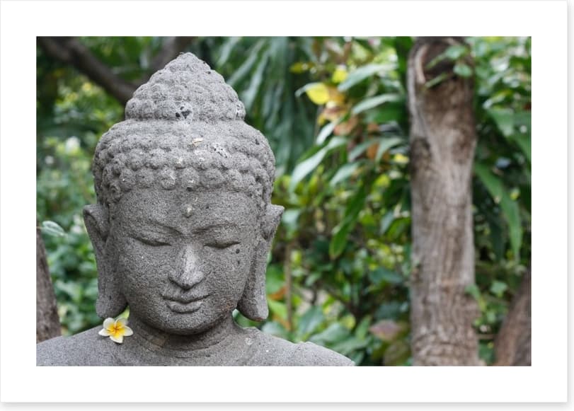 Frangipani buddha