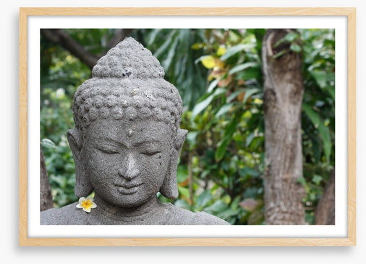 Frangipani buddha
