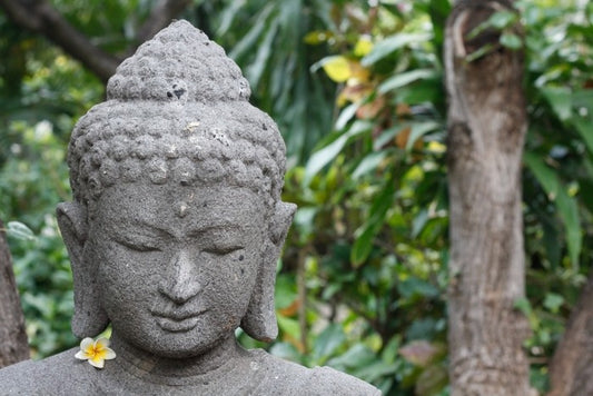 Frangipani buddha